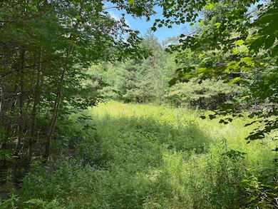 00 Simonsville Rd, Andover, VT 05143 - photo 2