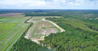 TBD Plat E1171-8, Summerton, SC 29148 - photo 4