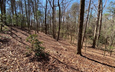 0 Hiawassee Ct unit 323830, Ellijay, GA 30540 - photo 5