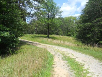 Open land great for horses.