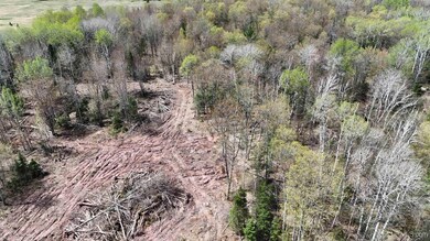 TBD7.5 Tapiola Rd, Chassell, MI 49916 - photo 7