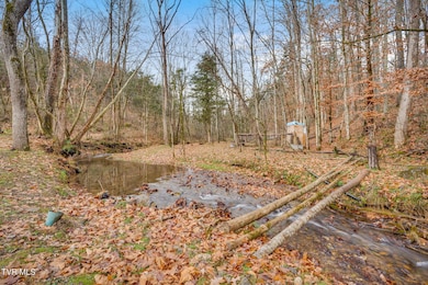 2309 Shavers Ford Rd, Jonesville, VA 24263 - photo 4