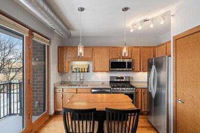 15 E Franklin Ave unit 330, Minneapolis, MN 55404 - photo 5