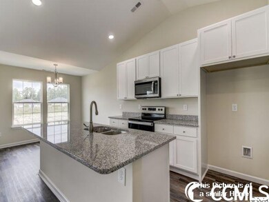 2819 Biscane Ct unit Lot 236, Conway, SC 29527 - photo 7