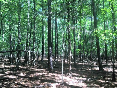 000 W Third St, Siler City, NC 27344 - photo 7