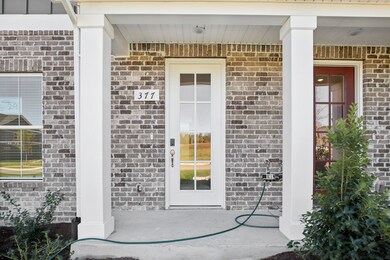 377 Greystone Lee Blvd, Smyrna, TN 37167 - photo 4