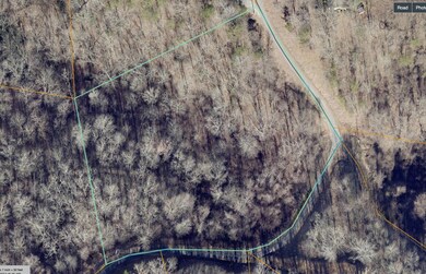 0 Tuckasegee Overlook Rd unit 26037540, Charleston, NC 28713 - photo 6