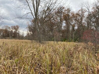 40 Acres Dragonfly Rd, Tomah, WI 54660 - photo 3