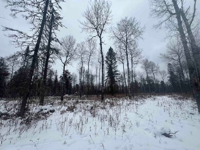 2260 Highway 44, Brimson, MN 55602 - photo 7