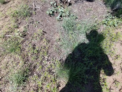 197bcd Off Indigo Way, Ash Fork, AZ 86320 - photo 4