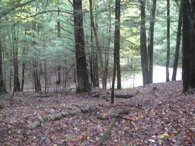 23 Wetherbee Rd, Lyman, NH 03585 - photo 2