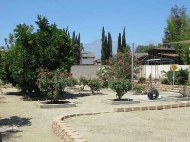 Fruit trees and roses in rear yard.