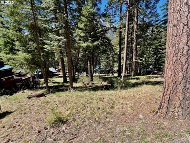 0 Forest Dell Ave unit 622201546, Wallowalake, OR 97846 - photo 7