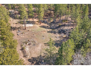 755 Fox Creek Rd, Glen Haven, CO 80532 - photo 5