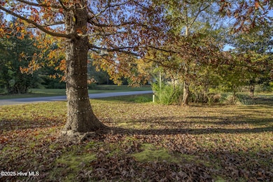 816 Mill River Rd, Jacksonville, NC 28540 - photo 7