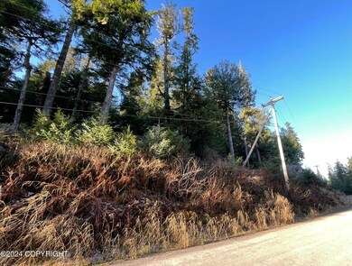 L9 B5 Beach Rd, Whale Pass, AK 99921 - photo 7