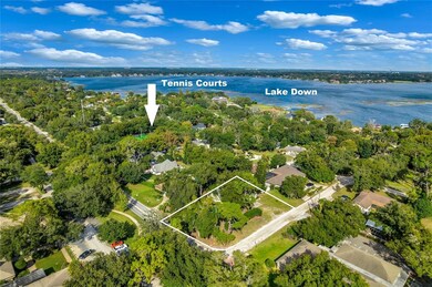 103 E 4th Ave, Windermere, FL 34786 - photo 2