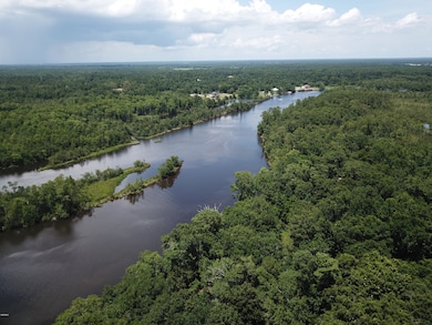 90 Acres Moragas Ln, Kiln, MS 39556 - photo 6