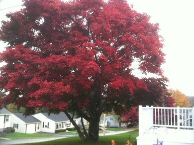 21 Assabet Ln, Worcester, MA 01602 - photo 3