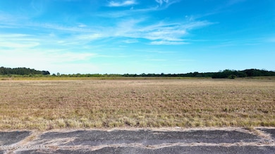 2481 Sesban Ave SW, Palm Bay, FL 32908 - photo 2