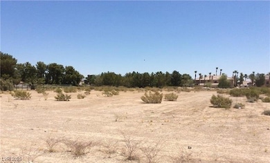 4850 N Durango Dr, Las Vegas, NV 89149 - photo 4