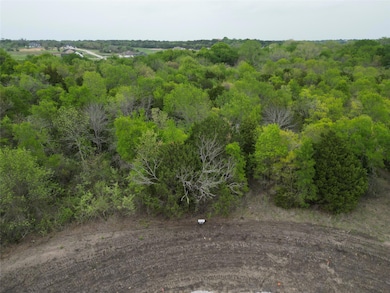 198 Fan Mill Trail, Weatherford, TX 76085 - photo 2