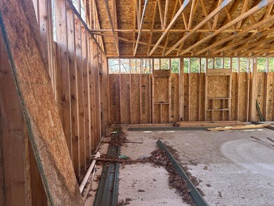 214 Albany Ave, Baldwin, MI 49304 - photo 4