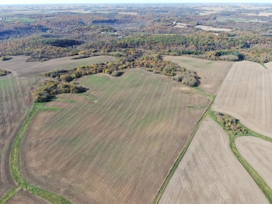 tbd 70th St SE, Viola, MN 55934 - photo 3