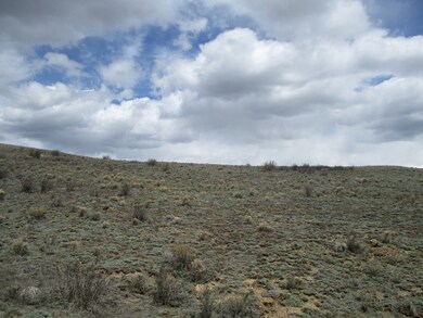 1202 Superstition Trail, Hartsel, CO 80449 - photo 2
