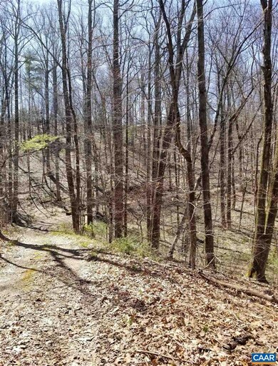 0 High Rd unit 615449, Stanardsville, VA 22973 - photo 2