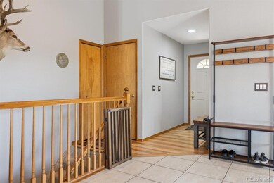 14020 Nichlas Ct, Colorado Springs, CO 80921 - photo 4