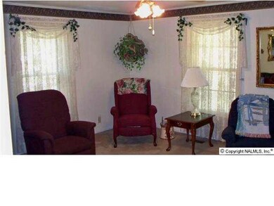 Living room is bright and cheery.