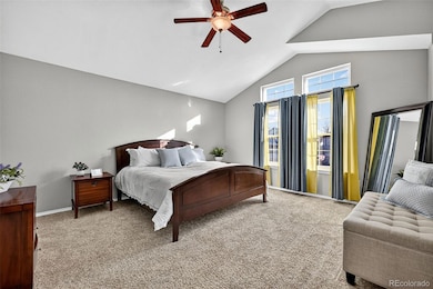 6815 Summerset Ave, Longmont, CO 80504 - photo 5