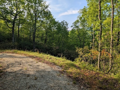 00 Cherokee Mine Rd, Franklin, NC 28734 - photo 3