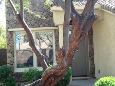 Upgraded stone accents on front of home