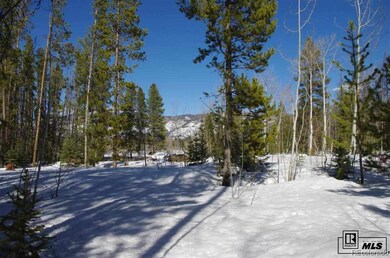 33230 Filly Trail, Oak Creek, CO 80467 - photo 5