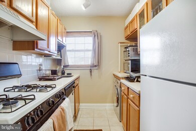 2305 Farrington Ave unit 202, Alexandria, VA 22303 - photo 7