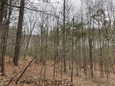 00 Twin Fawn Dr, Elberton, GA 30635 - photo 5