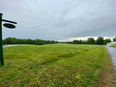 IMG_6737