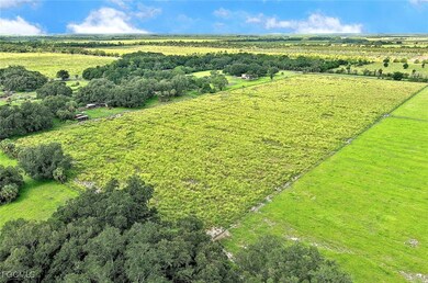 1320 Kirby Thompson Rd, Labelle, FL 33935 - photo 6