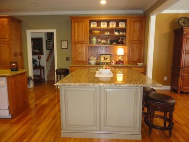 The new Island! This island has seating for your guests to enjoy while you cook that gourmet meal at your next dinner party.  