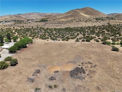 4320 Cedral St, Acton, CA 93510 - photo 5