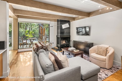 1034 E Cooper Ave unit 24A, Aspen, CO 81611 - photo 2