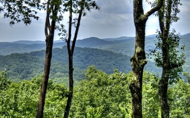 Additional View