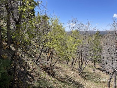 From the property