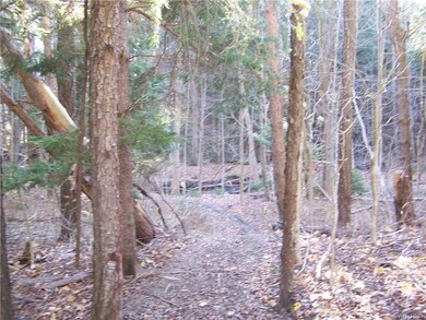 from the open area in the front headed into the wo
