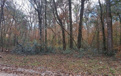 TBD Bumble St, Fort White, FL 32038 - photo 3