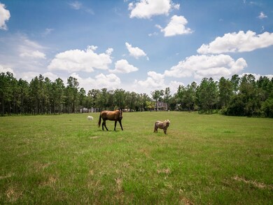 618 Cross Rd, Newton, GA 39870 - photo 5
