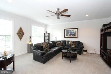 6553 Macklin St, Haymarket, VA 20169 - photo 6