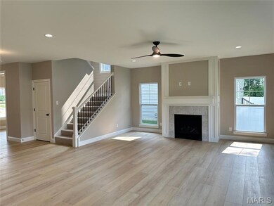 8737 Magdalen Ave, Brentwood, MO 63144 - photo 4